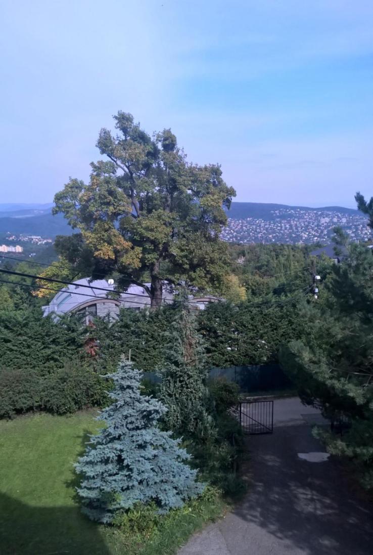 Romantic Two Bedroom Apartments In The Hills Of Budapest With Private Parking Bagian luar foto